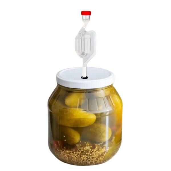 Airlock Forma de S - Imagen 4