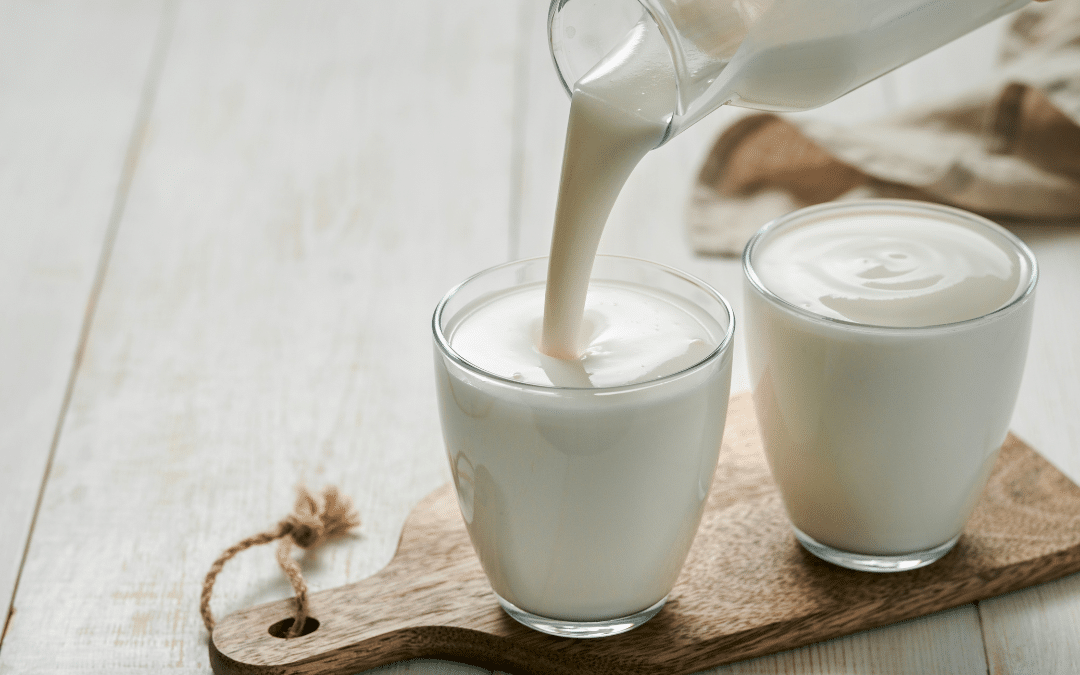 Fermentando Kéfir de leche de Cultivos Fermbio